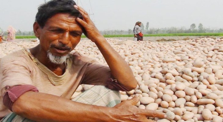 ৩ টাকা কেজিতেও বিক্রি হচ্ছে না আলু, দিশেহারা কৃষক